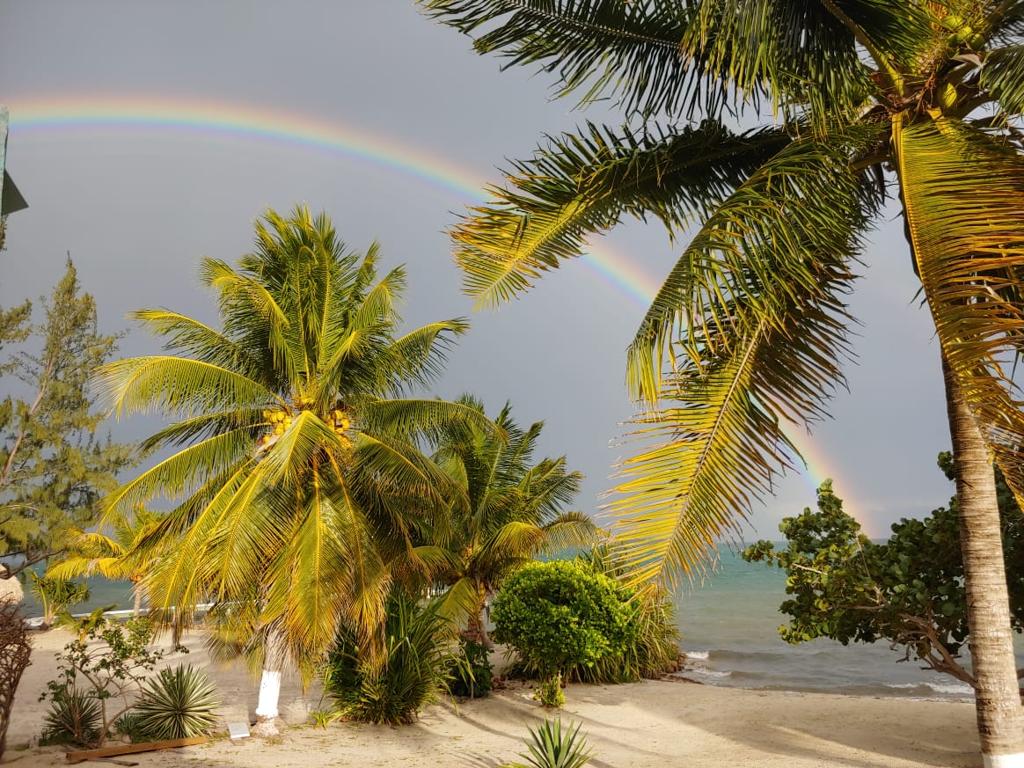 listing image with ID 63511