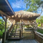 listing image thumbnail with ID 62254