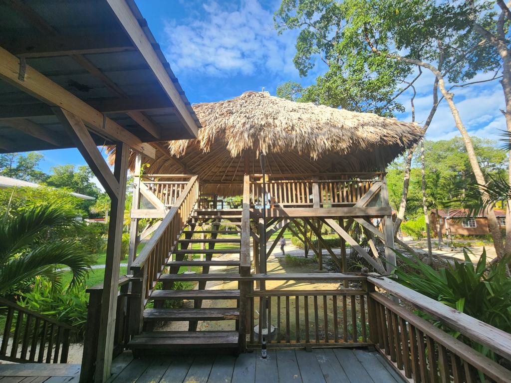 listing image with ID 62254