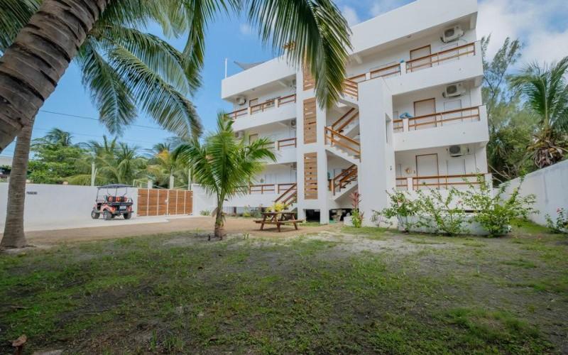 listing image with ID 62886