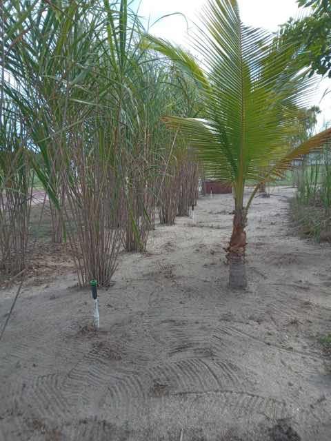 listing image with ID 62128