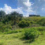 listing image thumbnail with ID 62168