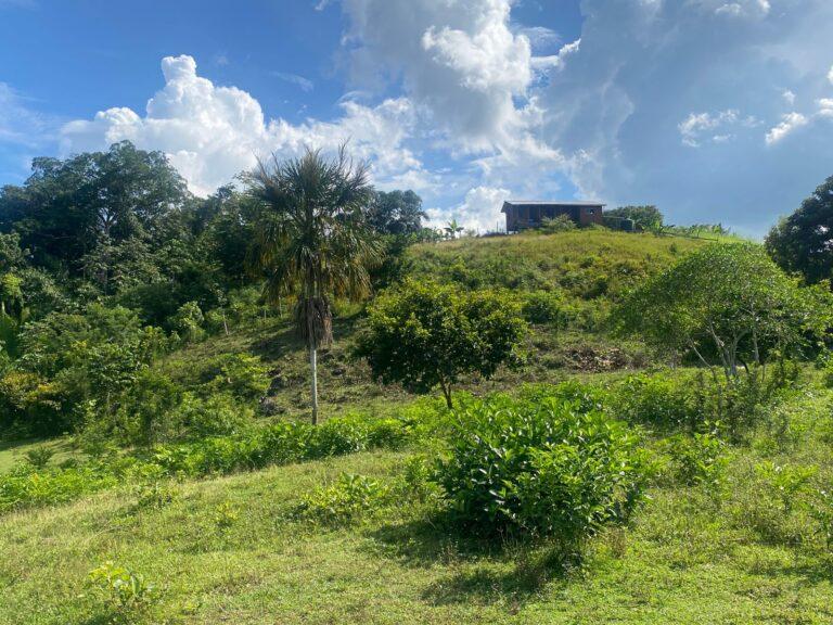 listing image with ID 62168