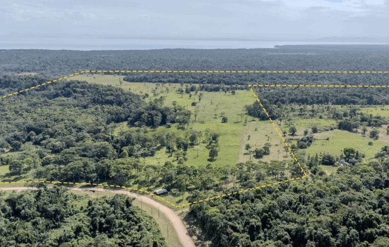 listing image with ID 62574