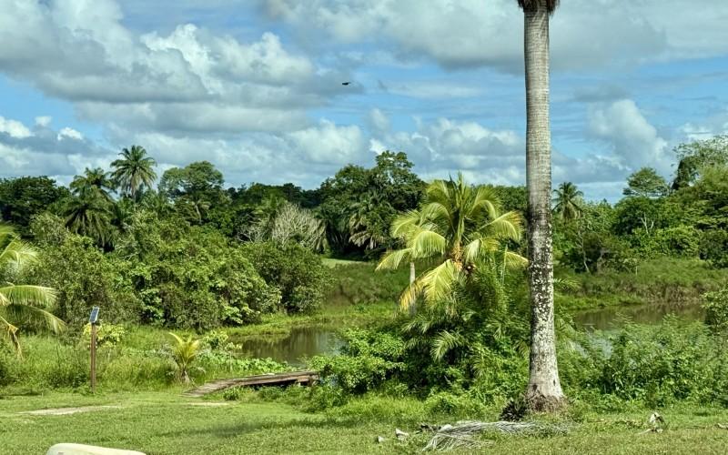 listing image with ID 63477