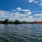 listing image thumbnail with ID 62488