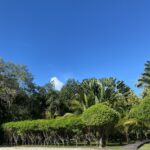 listing image thumbnail with ID 69401