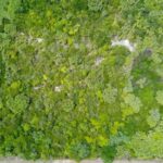 listing image thumbnail with ID 67330