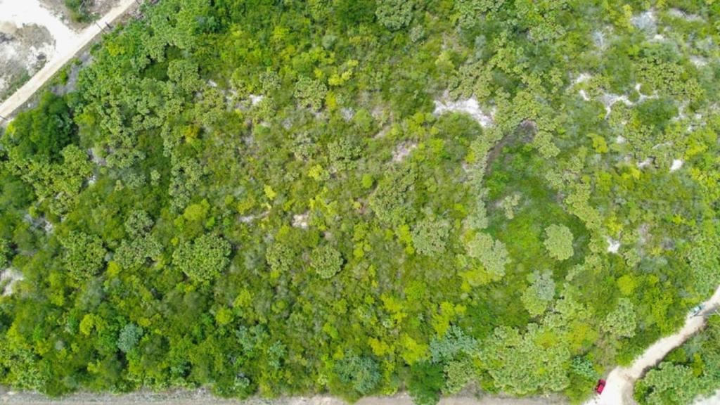 listing image with ID 67330