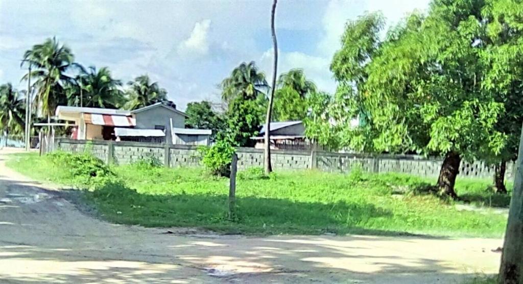 listing image with ID 66602