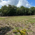 listing image thumbnail with ID 65213