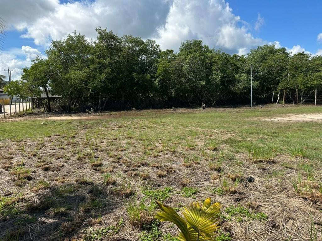 listing image with ID 65213