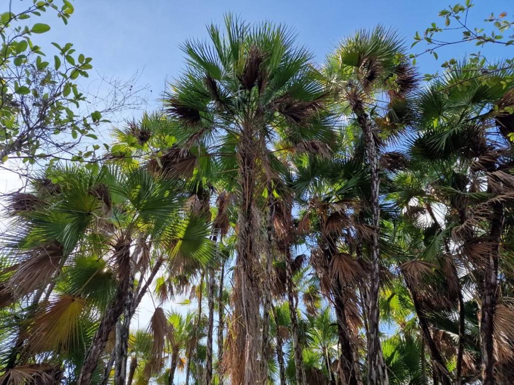 listing image with ID 64489