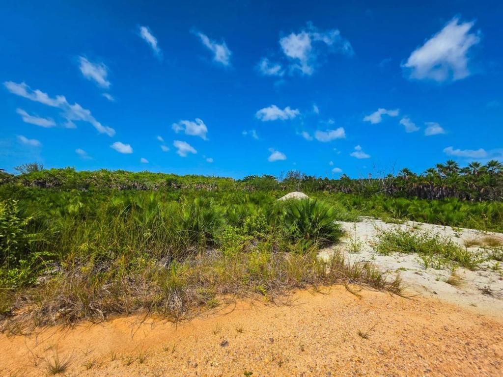 listing image with ID 68257