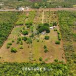 listing image thumbnail with ID 66592