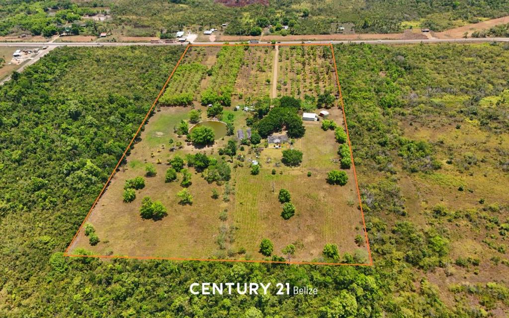 listing image with ID 66592