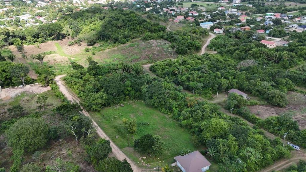 listing image with ID 68225