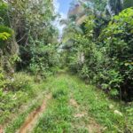 listing image thumbnail with ID 64909