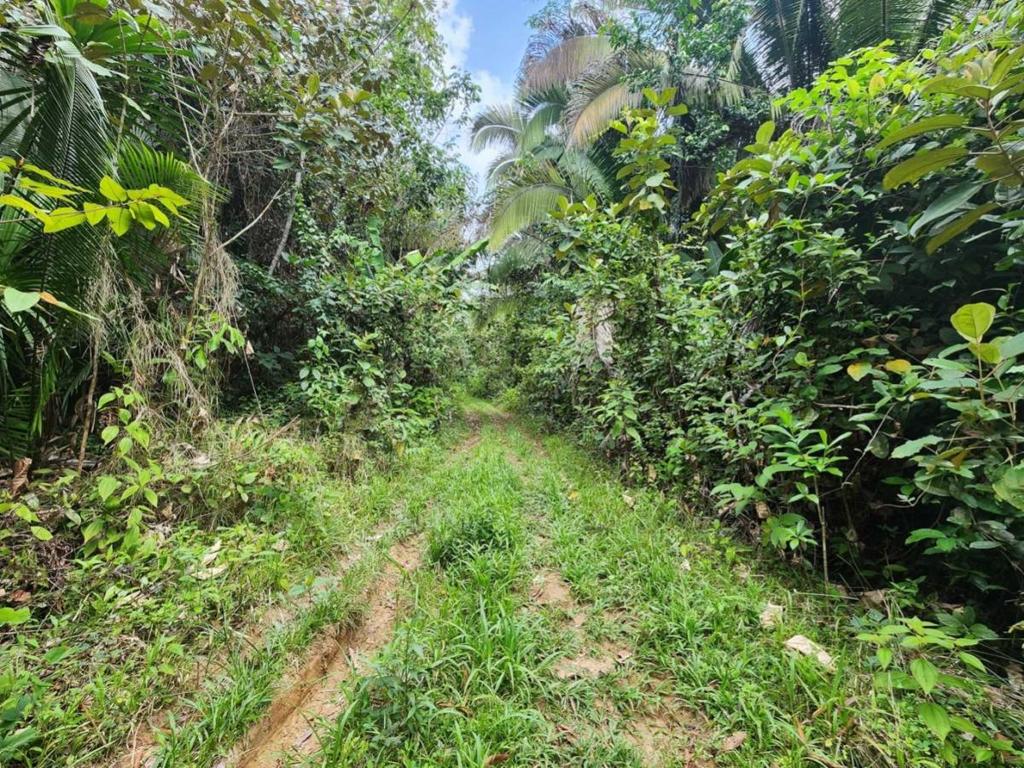 listing image with ID 64909