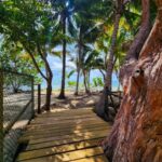 listing image thumbnail with ID 64699