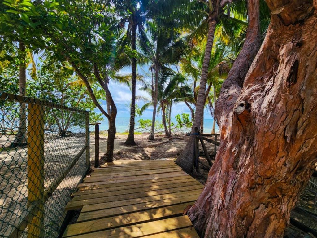 listing image with ID 64699