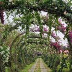 listing image thumbnail with ID 64983