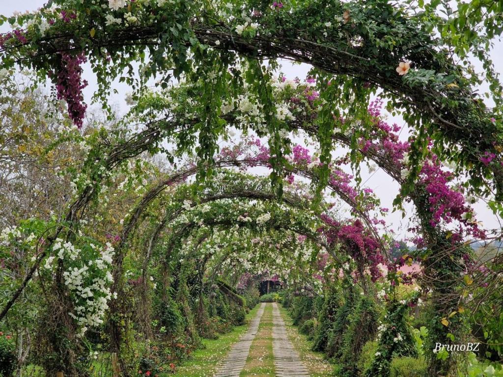 listing image with ID 64983