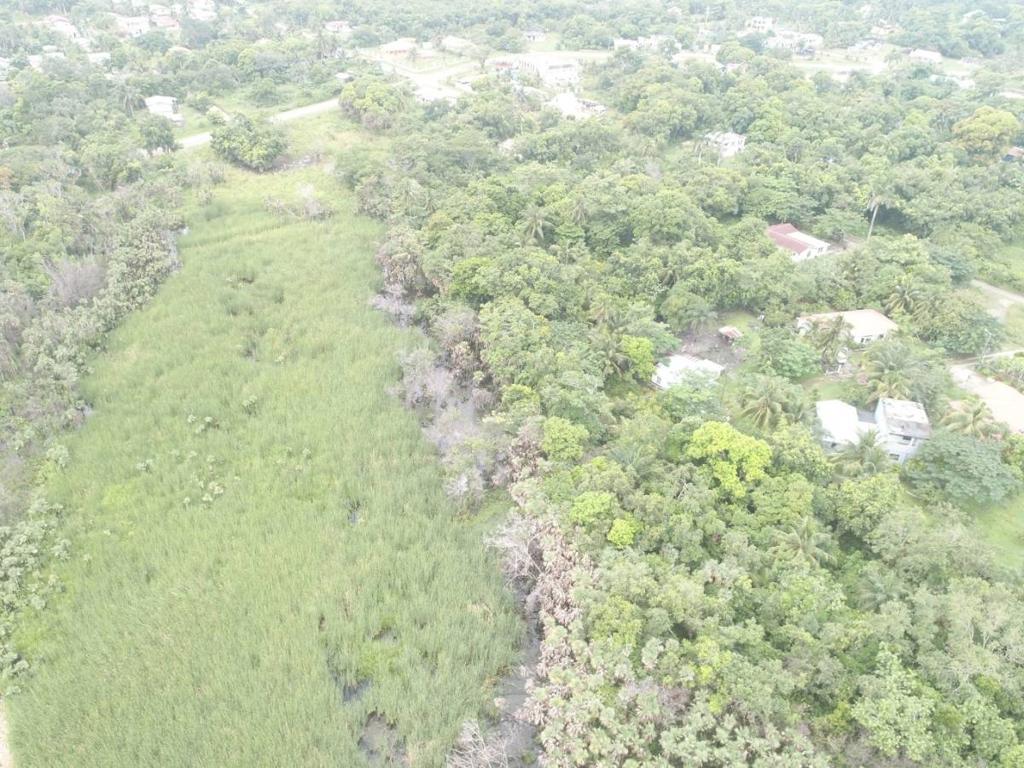 listing image with ID 64049