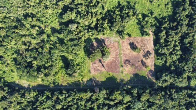 listing image with ID 65824