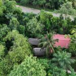 listing image thumbnail with ID 65881