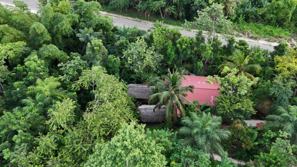 listing image with ID 65881