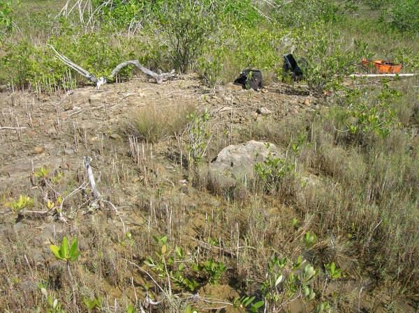 listing image with ID 68105