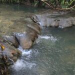 listing image thumbnail with ID 66890