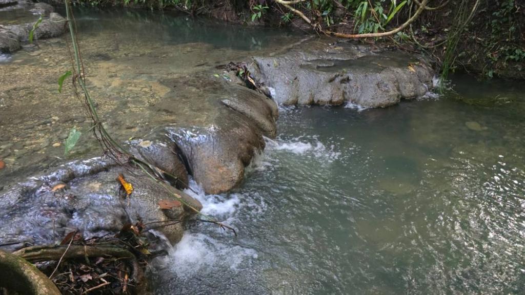 listing image with ID 66890