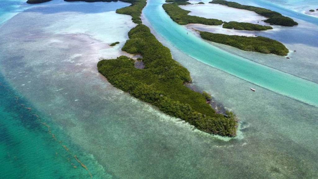 listing image with ID 63562