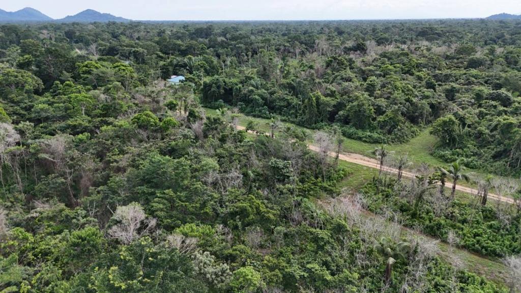 listing image with ID 66545