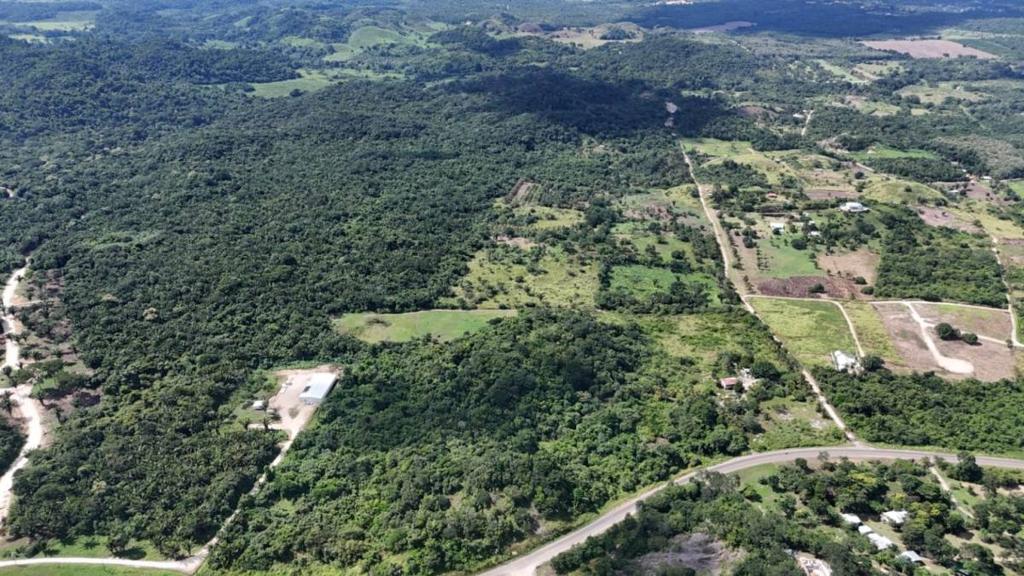 listing image with ID 63696