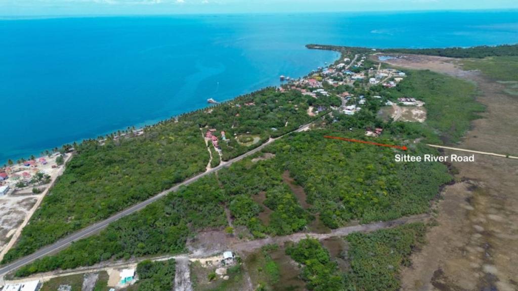 listing image with ID 66239