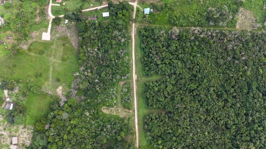 listing image with ID 66559