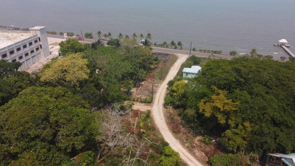 listing image with ID 65113