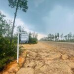 listing image thumbnail with ID 65165