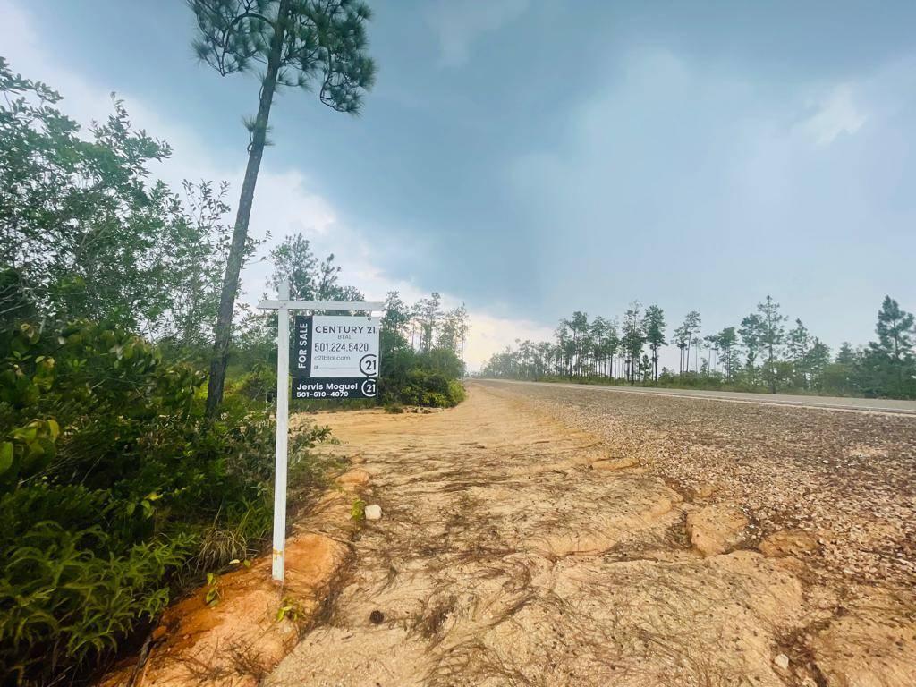 listing image with ID 65165