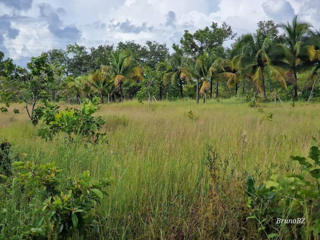 listing image with ID 68243