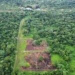 listing image thumbnail with ID 65832