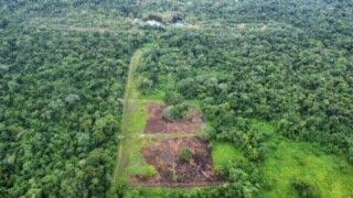 listing image with ID 65832