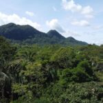 listing image thumbnail with ID 67783