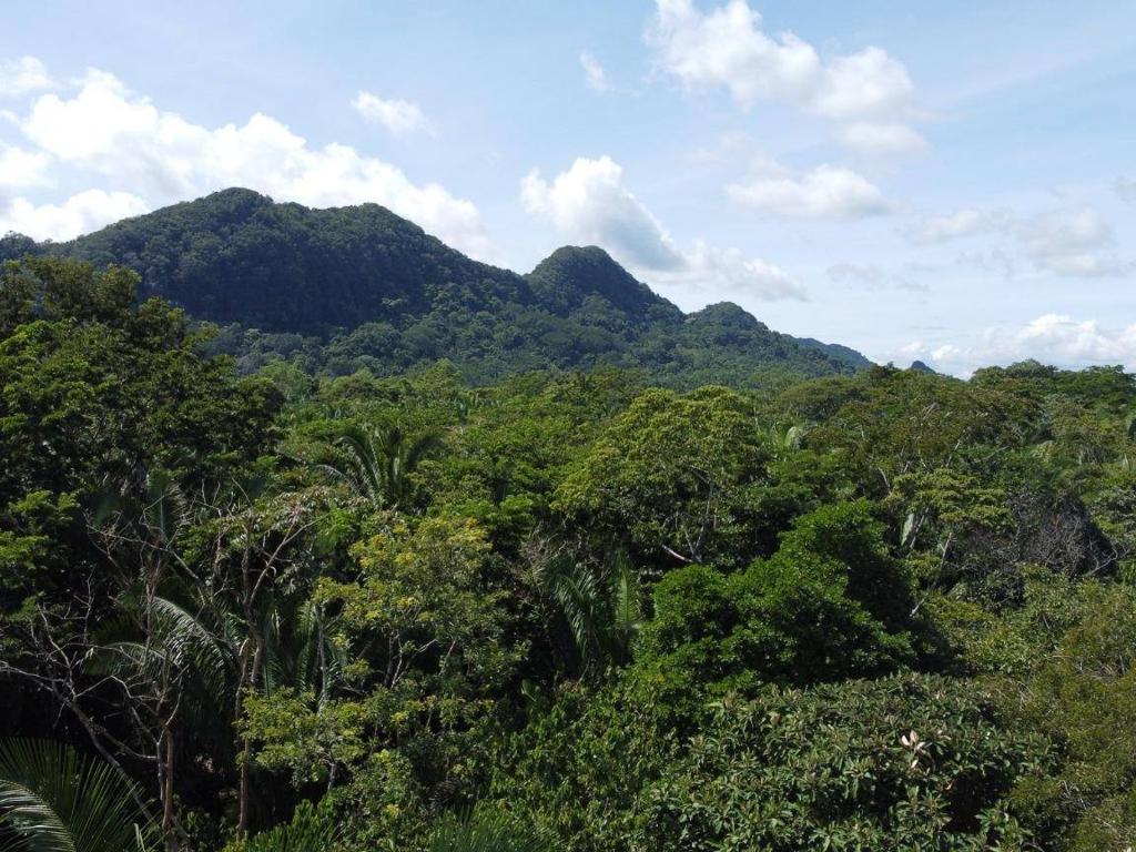 listing image with ID 67783