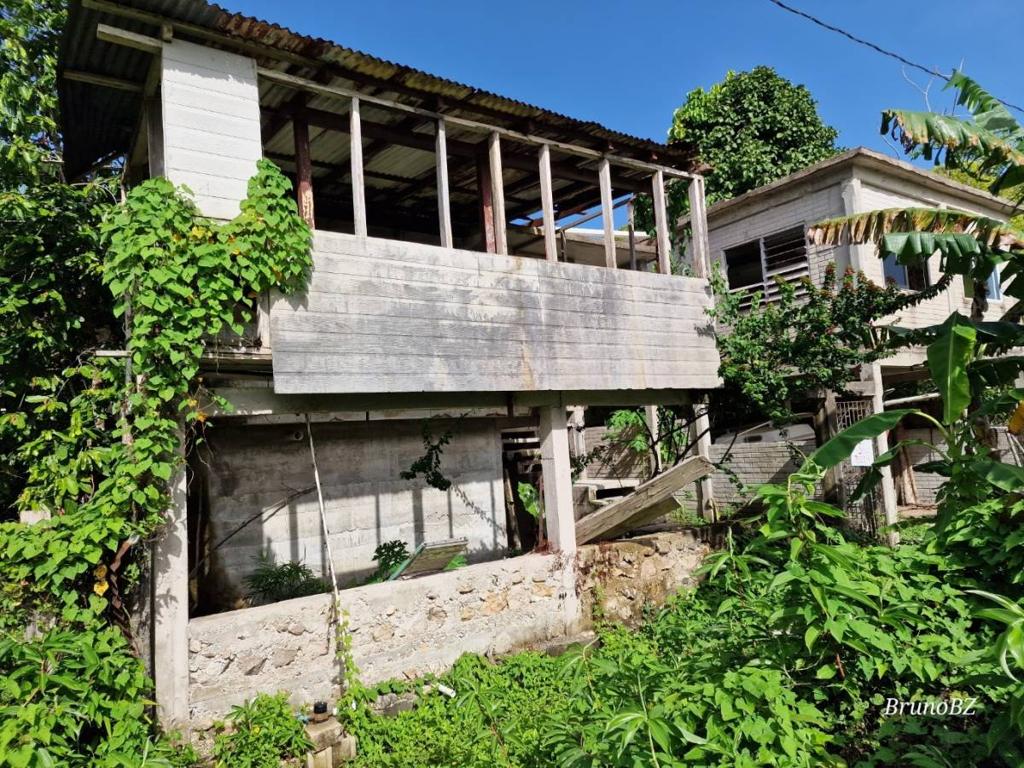 listing image with ID 67491