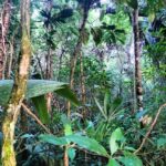 listing image thumbnail with ID 64768