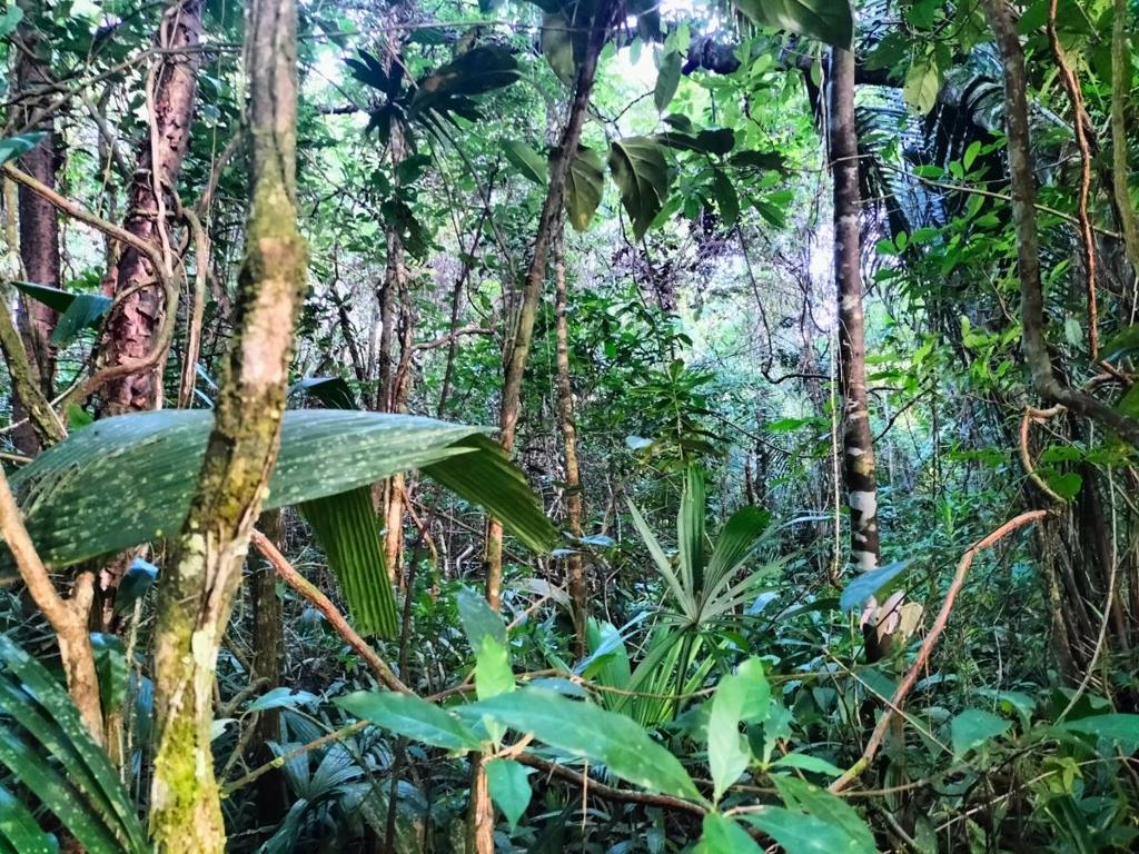 listing image with ID 64768